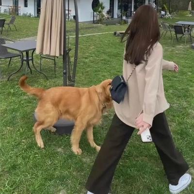 中国的战争海报